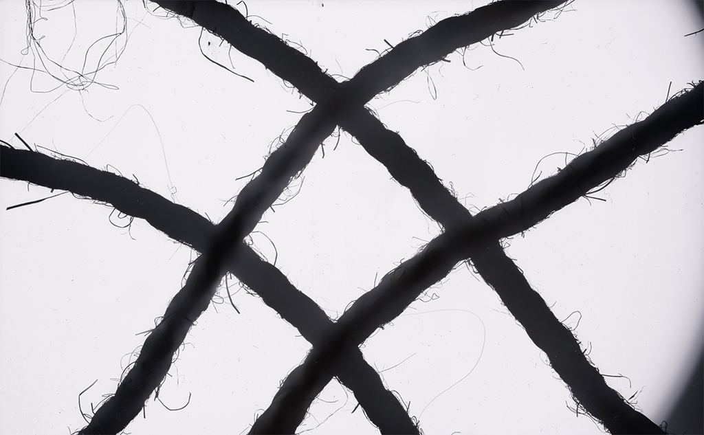 rope-photogram-1