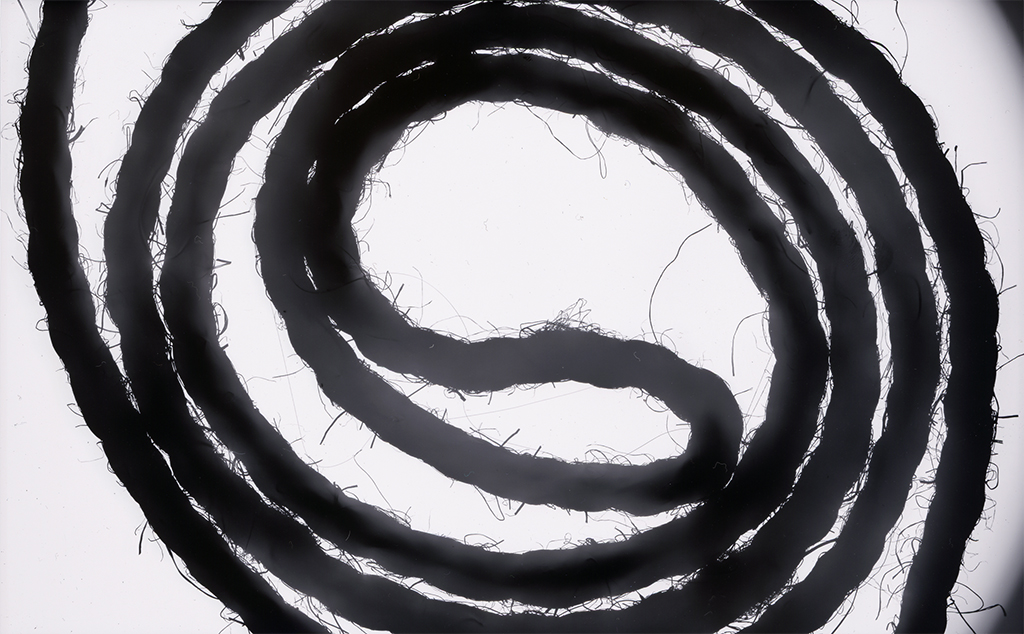 rope-photogram-3